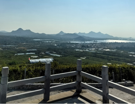 平度大澤山葡萄園引進(jìn)萊恩德土壤肥料檢測(cè)儀， 輕松掌握土壤營(yíng)養(yǎng)